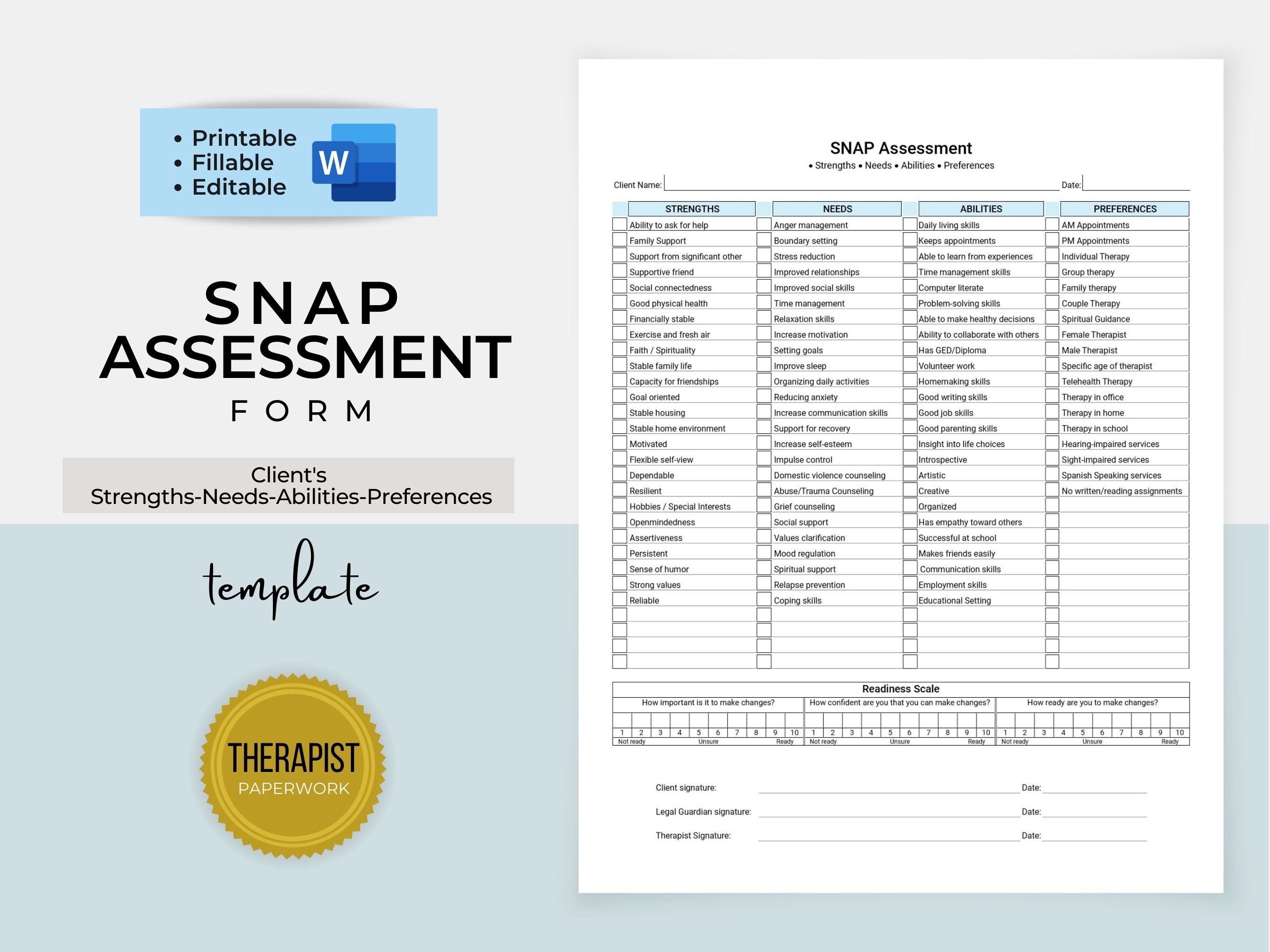 Strengths Needs Abilities Preferences Assessment Template Etsy