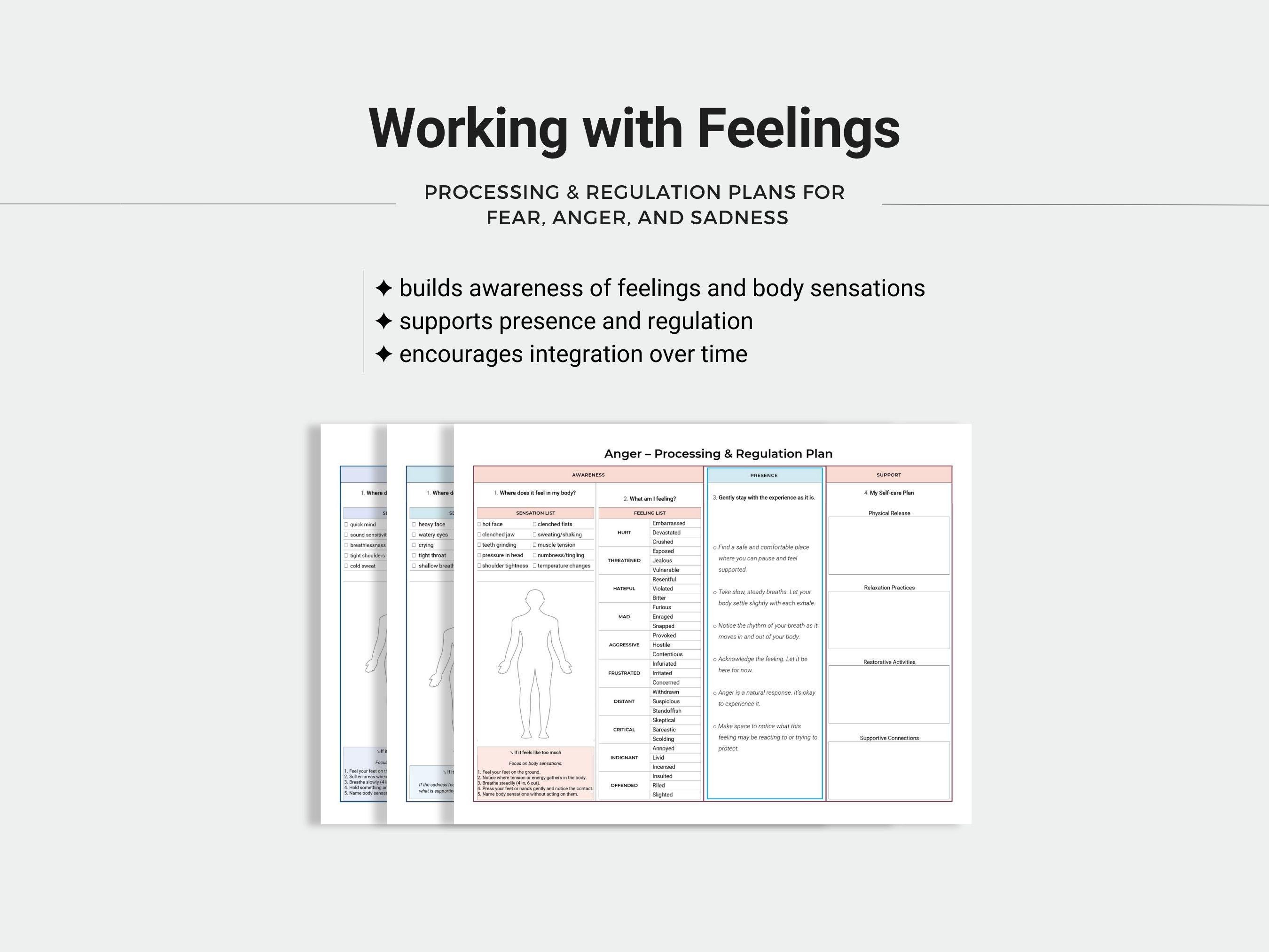Emotion Regulation Plan, Feelings Processing Guide, Emotional Literacy ...