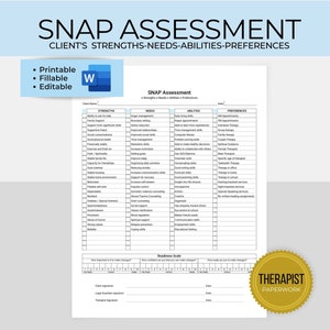 Strengths, Needs, Abilities, Preferences Assessment Template Fillable, SNAP Form, Client Needs Assessment Tool