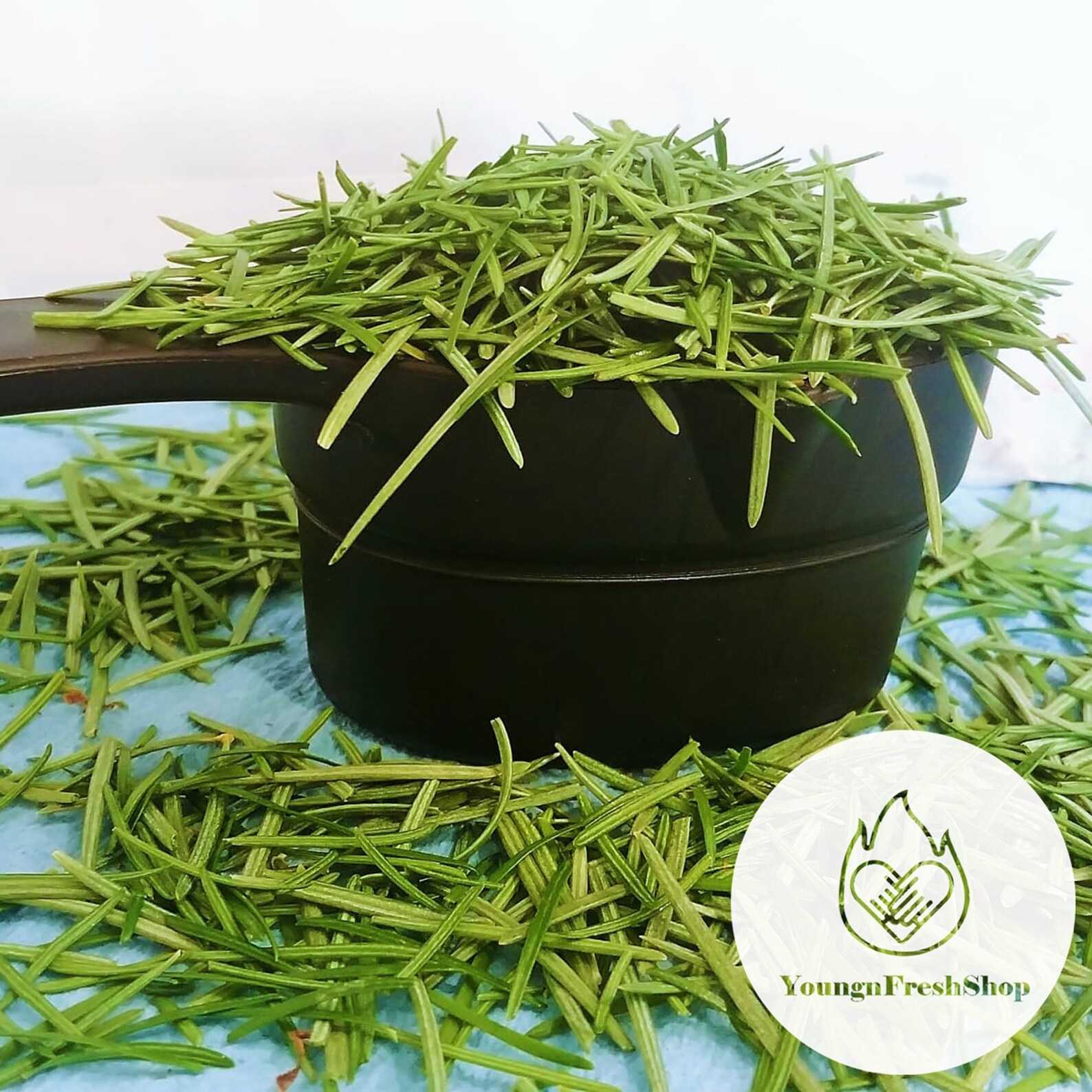 White Pine Needle Tea Fresh Pine Needle Tea Best Organic Etsy