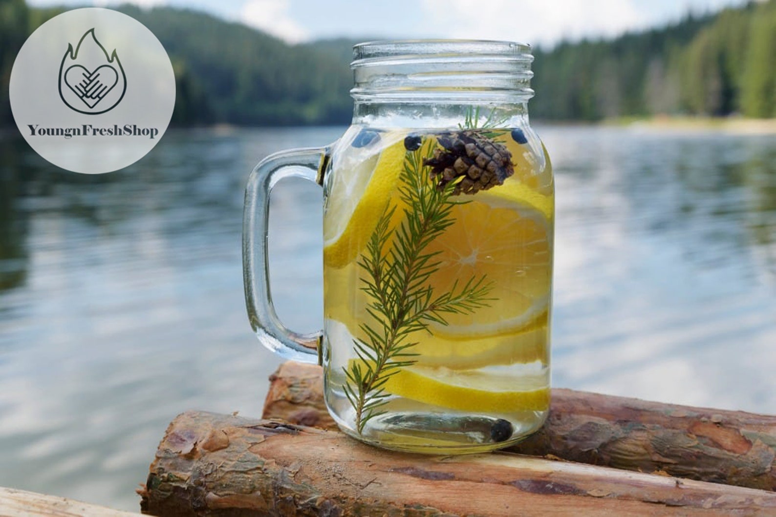 24 Bag Natural Pine Needle Tea Pine Needle Tea Best Organic Etsy