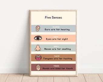 May include: A framed educational poster titled "Five Senses." The poster features colorful illustrations of an ear, eye, nose, mouth, and hand, each paired with a description of its function: hearing, sight, smell, taste, and touch.