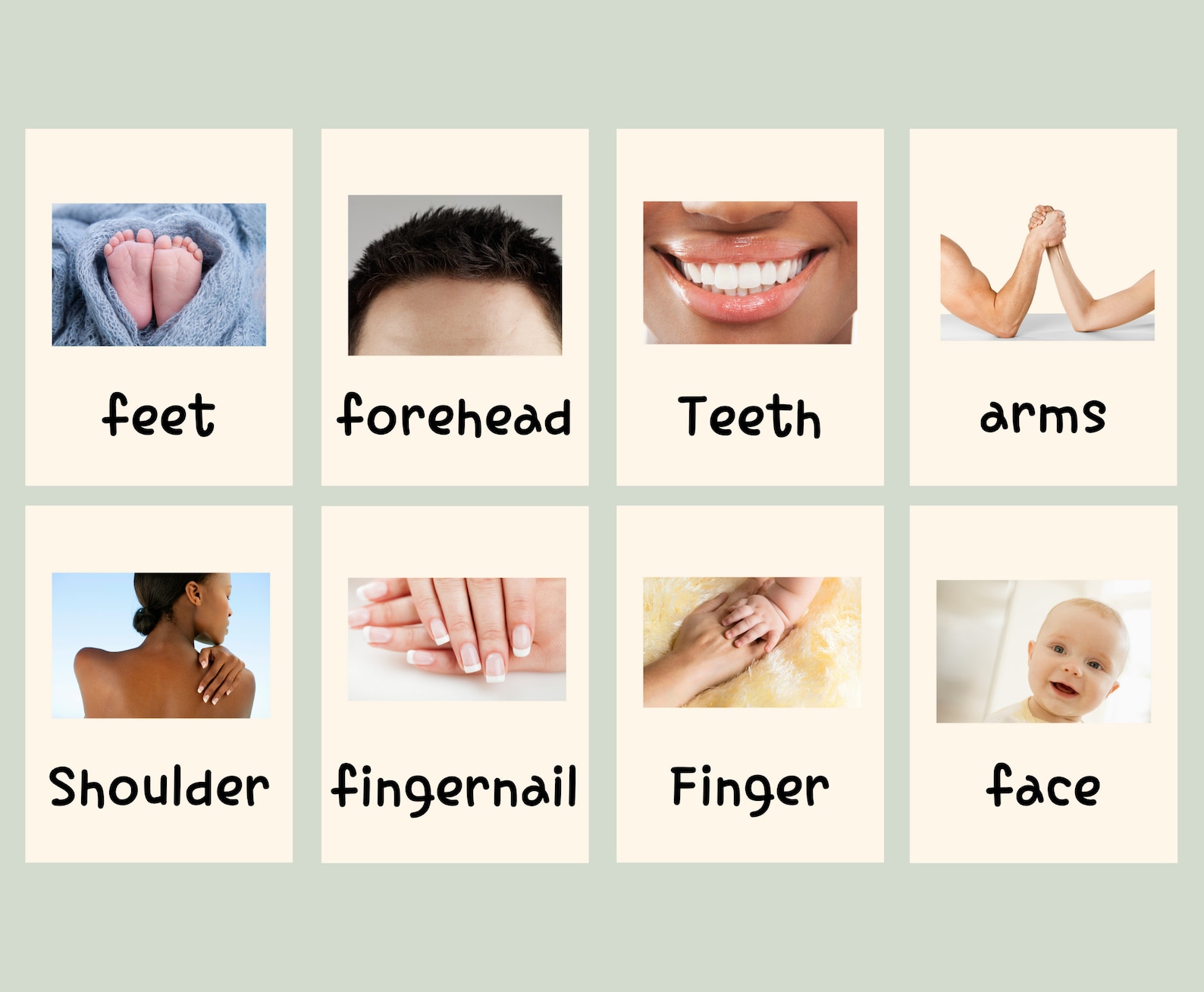 24 Body Parts Flashcards Real Pictures Image Cards For Kids Etsy 24-body-parts-flashcards-real-pictures-image-cards-for-kids-etsy