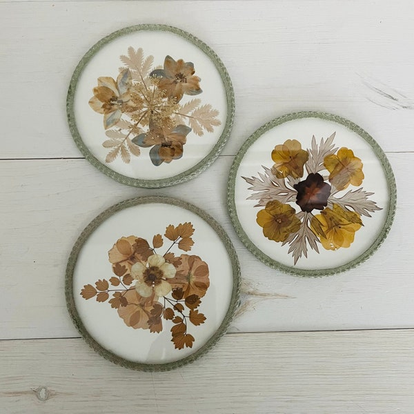 Flower Under Glass Etsy