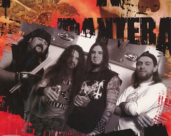 RARE Original Vintage 2000 Pantera Band Groove Metal Music Promo Poster