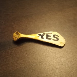 Yes/No Divination Bone