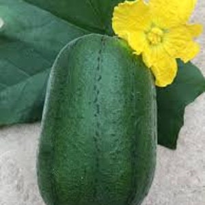 5 Apple luffa seeds“ 台湾苹果丝瓜”At least 4 bags  of seeds for shipping, mix or match