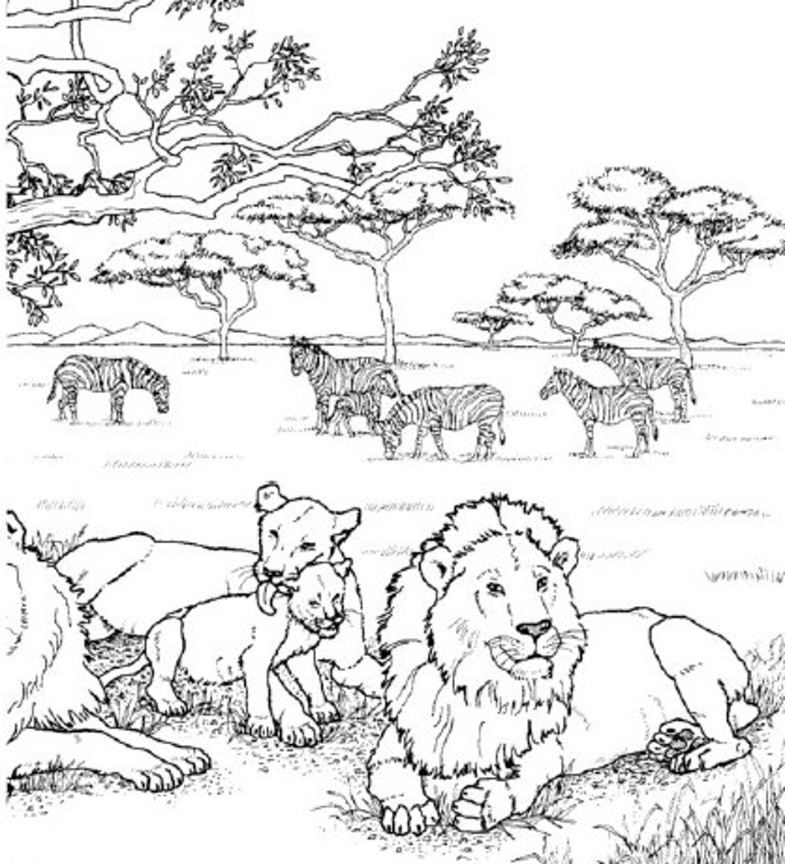 The African Plains Coloring Pages Instant Digital Download | Etsy