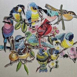 May include: A collection of embroidered bird patches in various colors, including blue, yellow, red, and green. The patches feature detailed stitching and are arranged on branches with leaves and flowers. The patches are ideal for adding to clothing or accessories.
