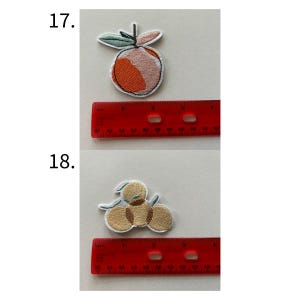 May include: Embroidered patches featuring fruit designs. One patch depicts a peach with orange, pink, and green details, while the other shows three golden-yellow fruits with green leaves. A red ruler is placed below each patch.