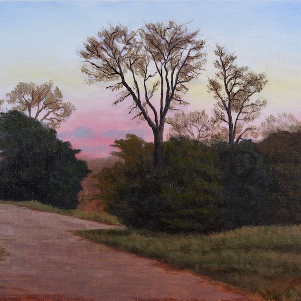 Peinture à l’huile ORIGINALE: Coucher de soleil au Mabel Davis District Park à Austin, Texas. Texas Landscape Art, Huiles sur toile, 11x14