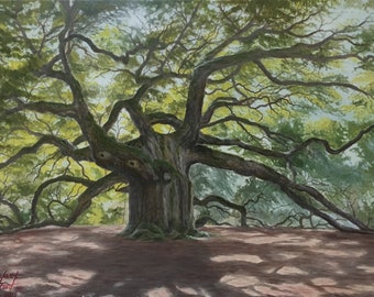 Limited Edition Print: Old Oak Tree 11x14"