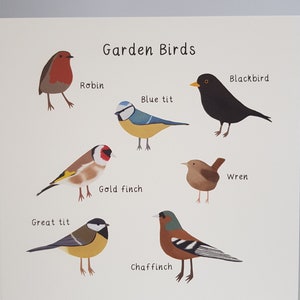 Garden Birds Greeting Card