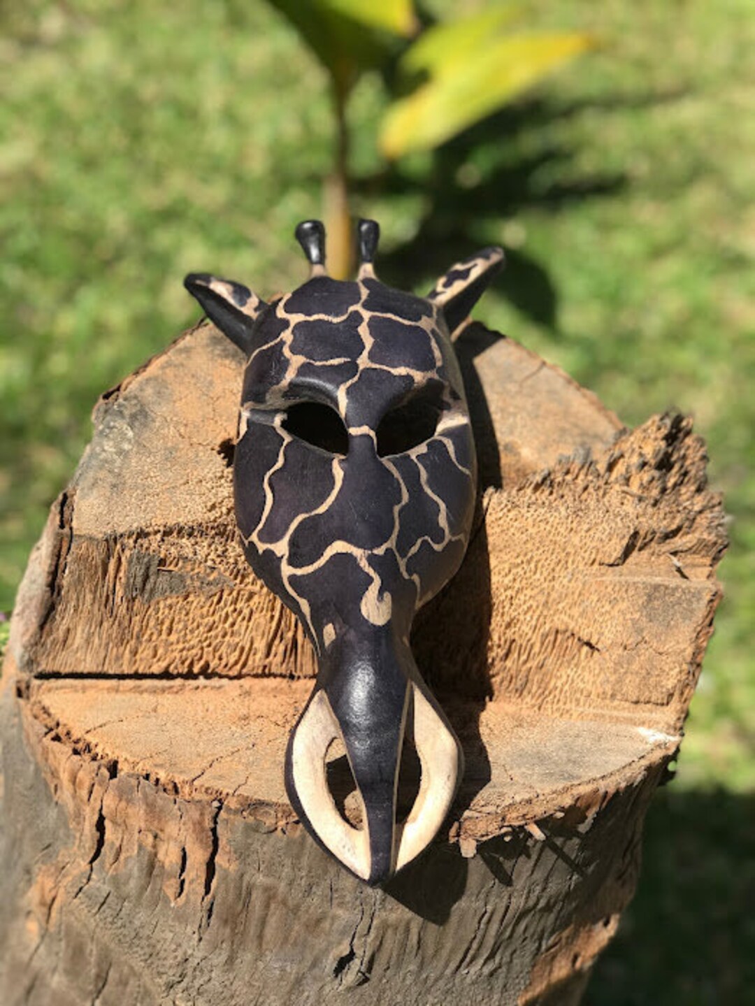 Genuine African Giraffe Wall Mask. Hand Carved in Gambia Beautiful