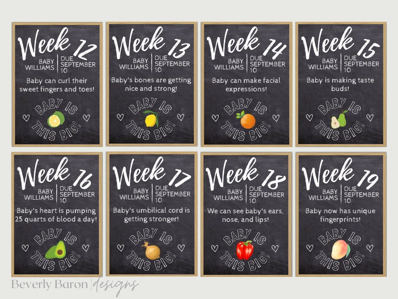 May include: Nine black chalkboard signs with white text and illustrations of fruits and vegetables. Each sign shows a different week of pregnancy, from week 12 to week 19, with a description of the baby's development. The text "Baby is this big!" is repeated on each sign.