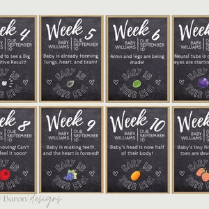 May include: Ten black and white chalkboard signs with a brown wood frame. Each sign shows a week of pregnancy, from week 4 to week 17. The signs include the text "Baby Williams Due September 10" and a description of the baby's development. Each sign also includes a graphic of a fruit or vegetable representing the size of the baby.