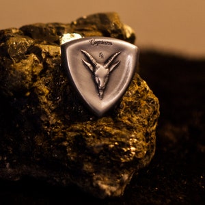Capricorn guitar pick (silver-plated)