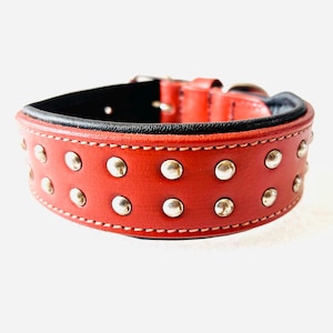 Badri Echtleder Handgefertigtes Hundehalsband Hunde/Katzenhalsband Großes Hundehalsband 19 ”bis 23” Braun Hundehalsband Voll Gepolstertes Premium Hundehalsband