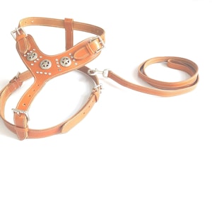Badri Handmade Medium and Large Dog Premium Leather Harness 2 Tone Rivet and Zipper Decorations, Foam and Leather Padding with Free Leash