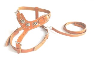 Badri Handmade Medium and Large Dog Premium Leather Harness 2 Tone Rivet and Zipper Decorations, Foam and Leather Padding with Free Leash