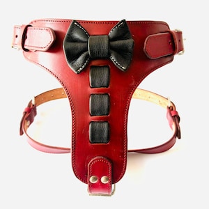 Badri Genuine Leather Handmade Brown Dog Harness Cute Black Bow-knot Pattern Design Dog Harness Brown Leather Dog Harness Medium/Large Dog