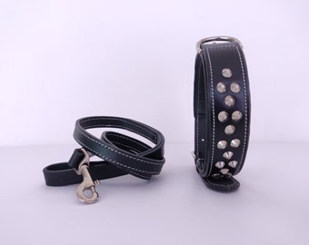 Badri Genuine Leather Spiked Dog Collar Handmade Dog Collar With D-Ring Daily wear Dog Collar with Free Matching Leash Premium Dog Collar