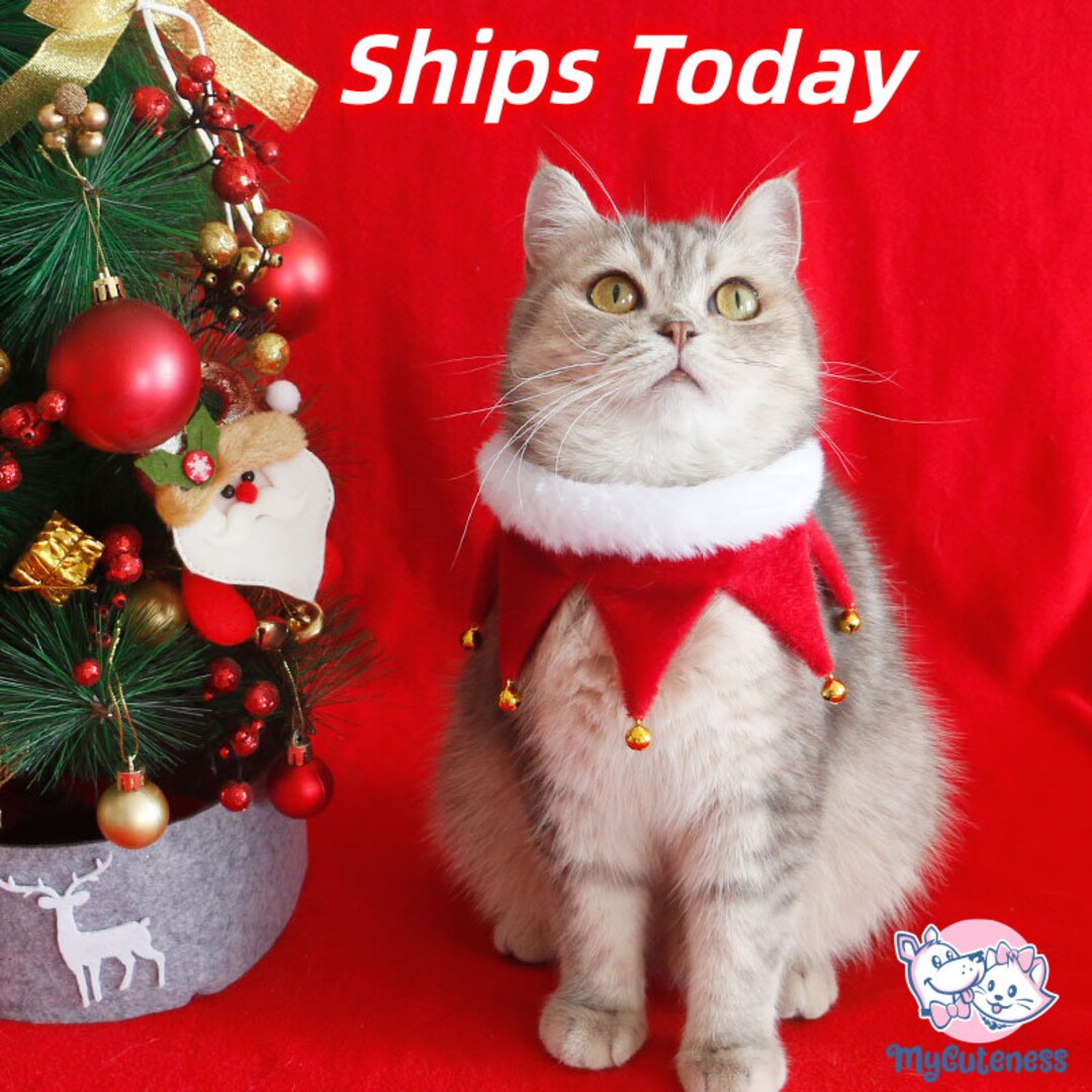 Christmas Santa Pet Outfit Collar Santa Christmas Dog Costumes Collar