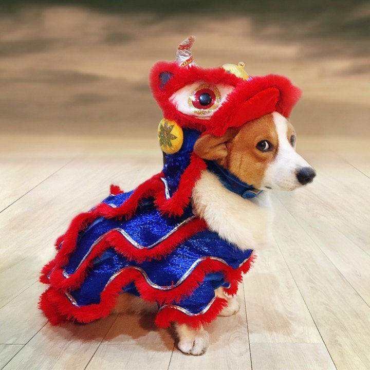 Purrfect Pals Halloween Cat Costume: Stylish & Funny Pet Apparel For  Autumn/Winter Festivities From Xinliang_qb, $19.58