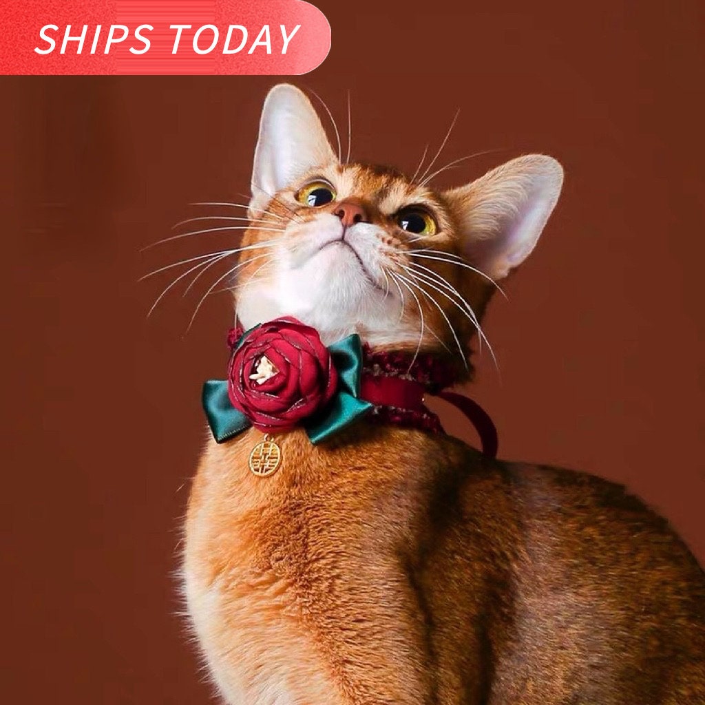 Burgundy Velvet Personalized Cat Collar With Dark Red Bow Tie 