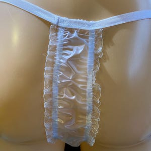 以下が含まれることがあります： 薄いブルーのシアーランジェリーにフリルがあしらわれています。ランジェリーは繊細で透明な生地で作られており、シンプルなデザインです。