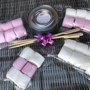 May include: A s'mores kit featuring a small metal container, marshmallows, and skewers. The marshmallows are packaged in clear plastic and are pink and white. The container has a floral design and the text "Sweet Treats & Dreams". A purple ribbon is tied around the skewers.
