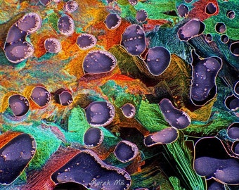Tartaric acid under the microscope, art under microscope, microscopic art, microscopy artistic print, microscopic art on wall, wall decor