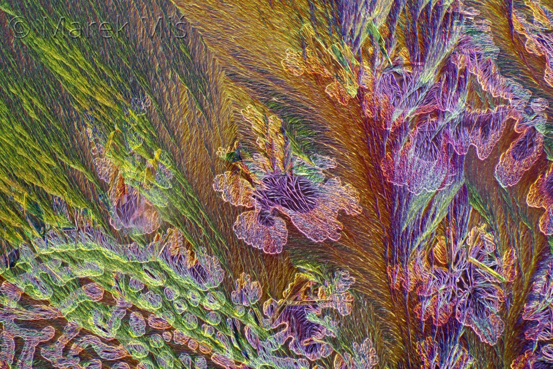 Abstract Flowers Under the Microscope, Imitation of Nature, Chemical