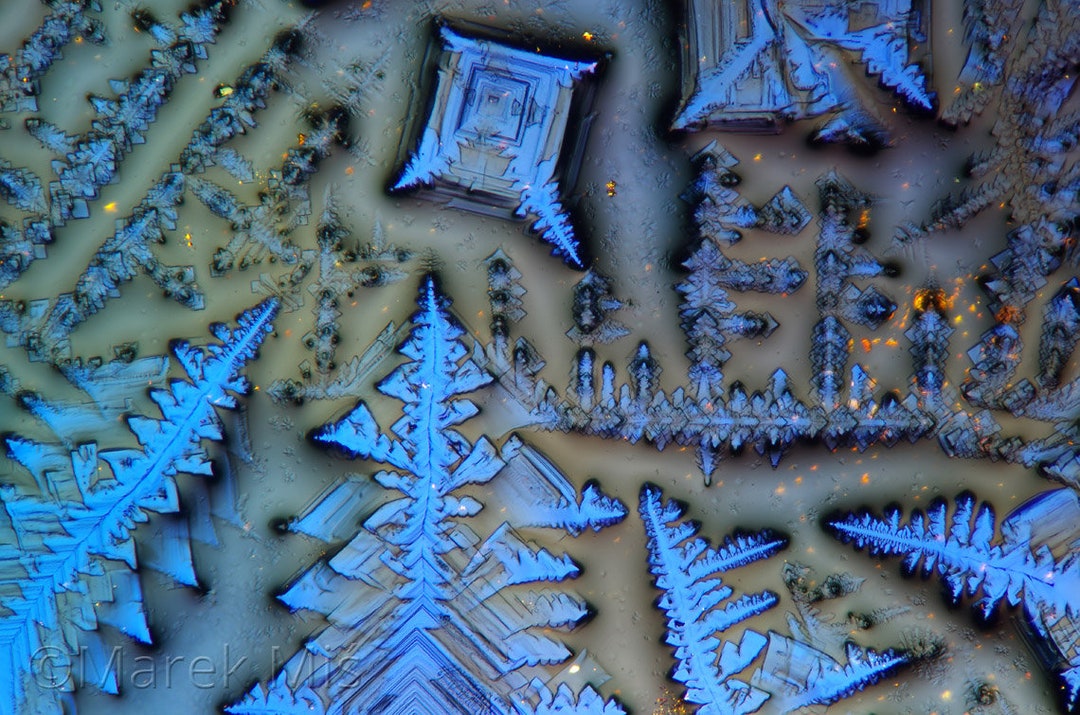 Soy Sauce Under the Microscope Art Under the Microscope Etsy