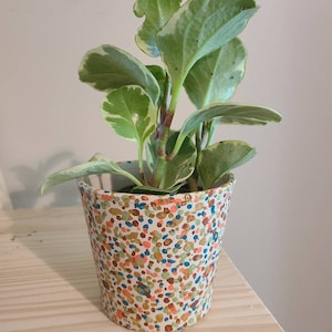 Hand Painted Flower Pot - Planter