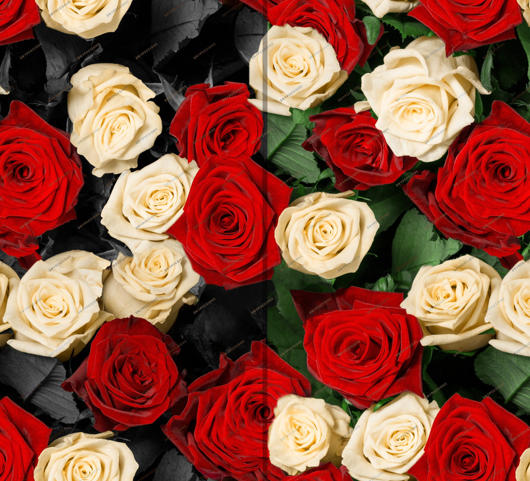 Red + White Roses Seamless Digital Paper Background - Realistic Rosebud Flowers Wallpaper - Instant Digital Download Files