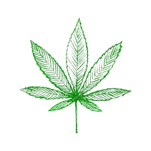 May include: A green marijuana leaf with a detailed, textured design.