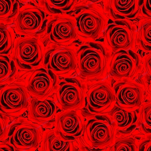 赤いバラのシームレスな背景 PNG - 赤いバラの花のデジタルペーパーファイルのダウンロード