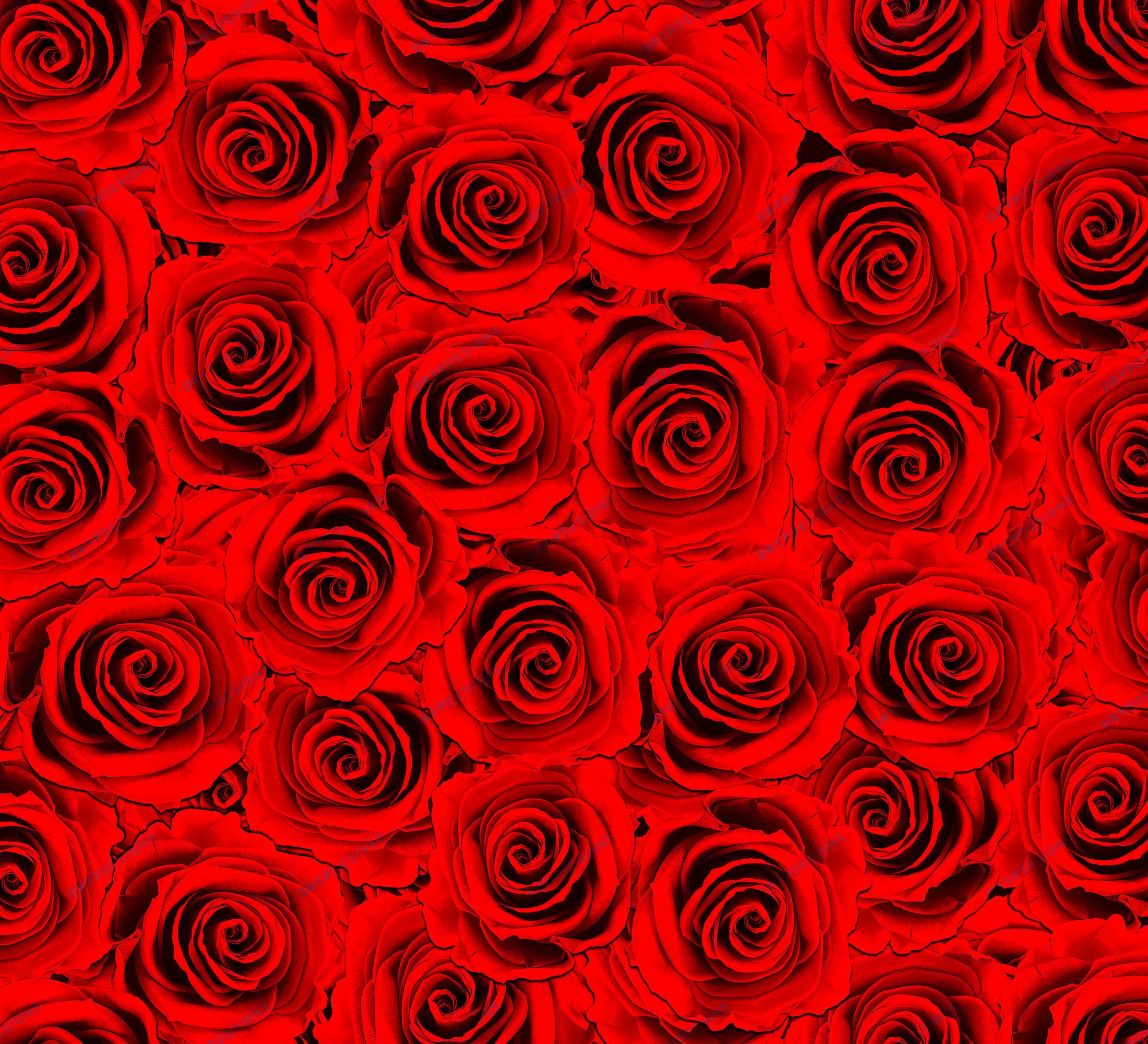 Red Rose Pattern Wallpaper