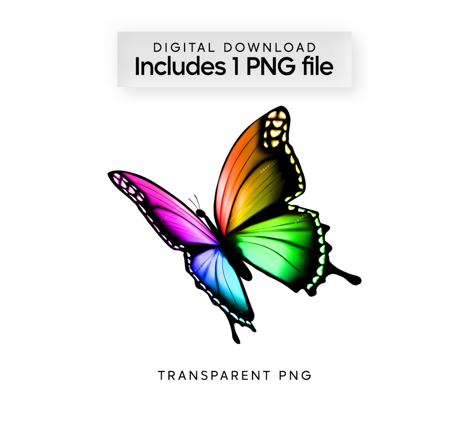 Vibrant Rainbow Butterfly PNG - Digital Download File - Transparent PNG ...