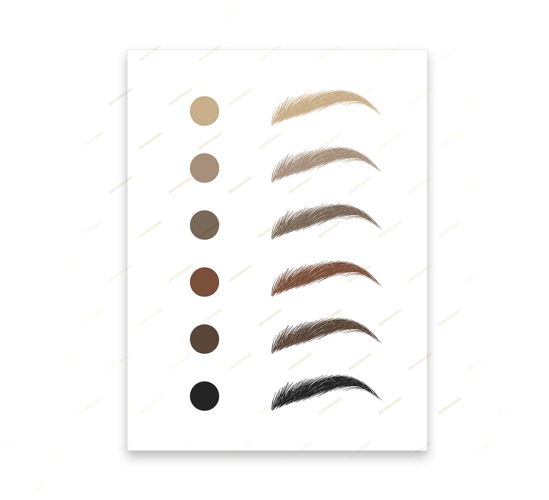 Eyebrow Color Chart Digital Art Print Natural Hair Color Brow