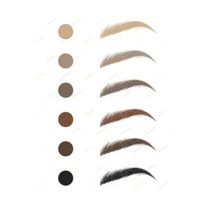 Eyebrow Color Chart Digital Art Print Natural Hair Color Brow 