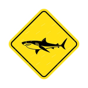 Caution Shark PNG + SVG Graphic - Marine Life Sign Symbol - Instant Digital Download Files