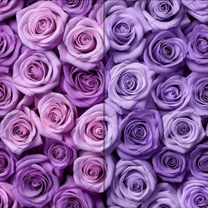 Purple Lilac Roses Seamless Digital Paper Background Texture - Elegant Realistic Floral Wallpaper PNG - Instant Digital Download Files