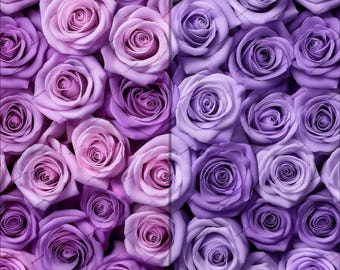 May include: A close-up image of a bouquet of purple roses. The roses are arranged in a tight cluster, with their petals overlapping. The roses are in various shades of purple, from light lavender to deep violet.