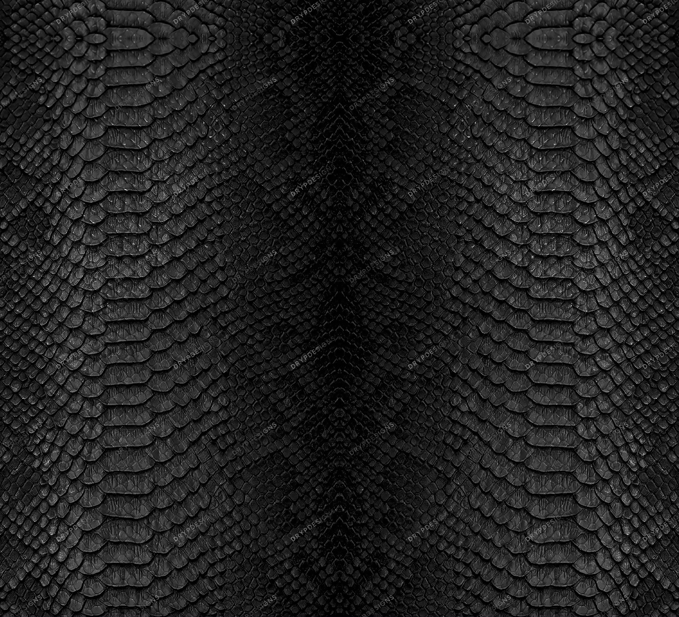 Black Snake Skin Texture