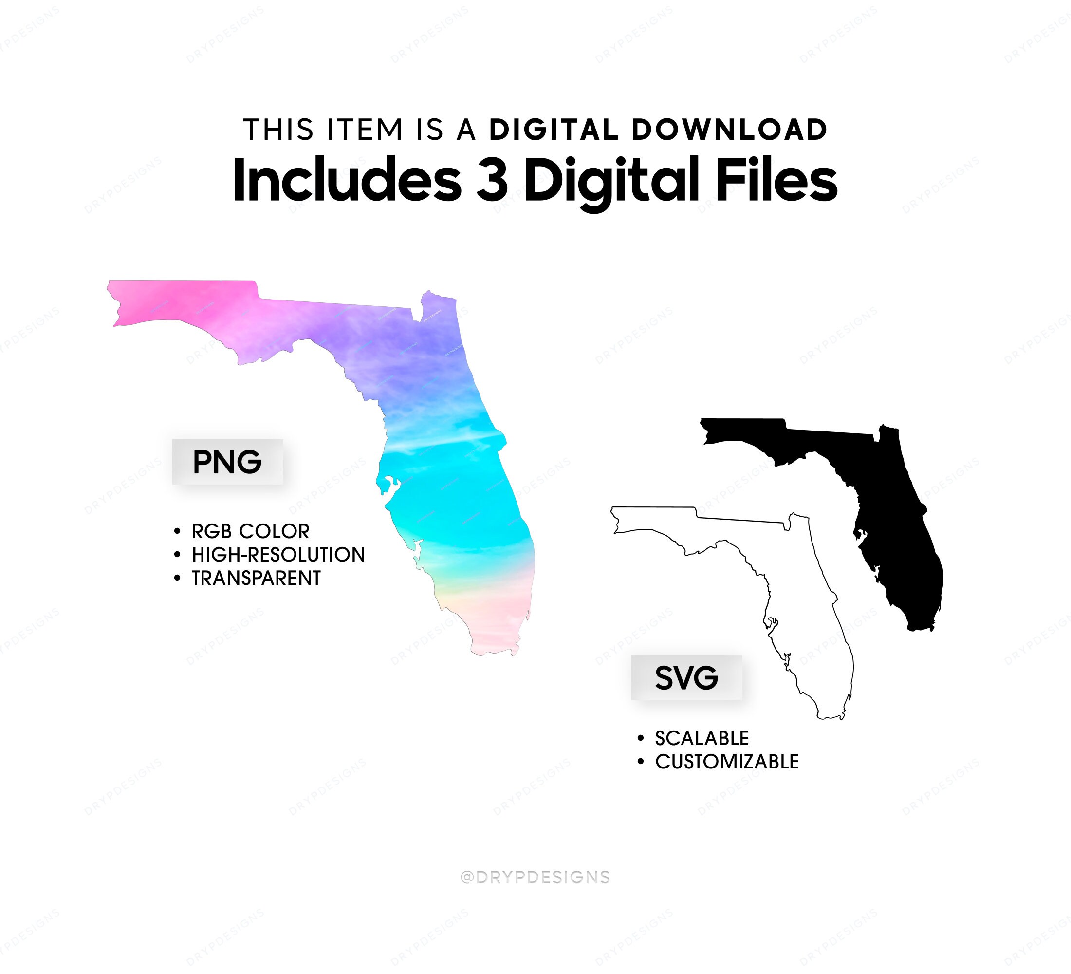 State of Florida SVG + PNG Digital Graphic - Vibrant Florida Map ...