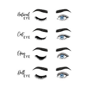 Könnte beinhalten: Illustration von vier verschiedenen Augenformen mit Wimpern und Augenbrauen. Die Augenformen sind mit "Natural Eye", "Cat Eye", "Open Eye" und "Doll Eye" beschriftet.