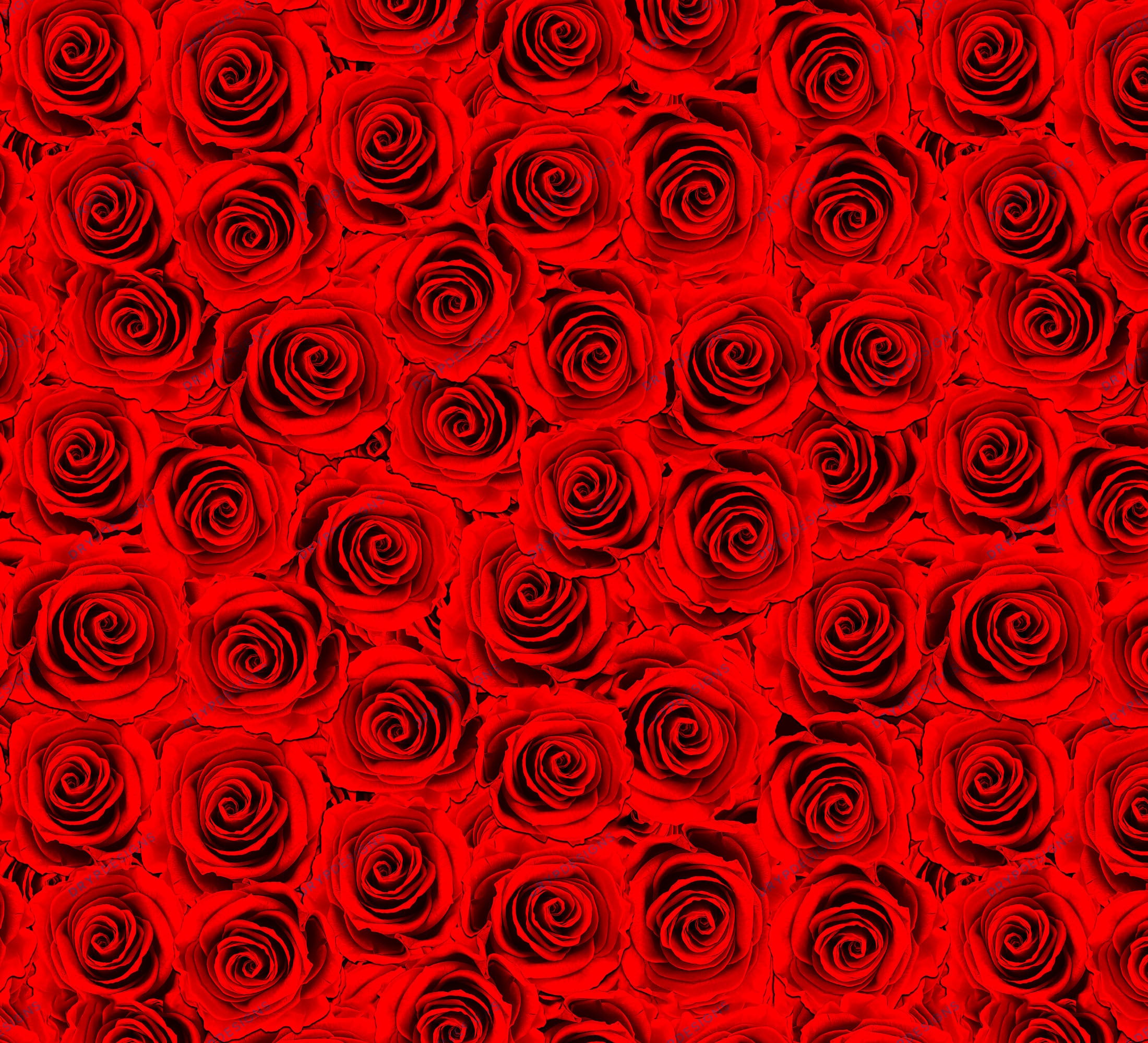 Red Roses Seamless Background PNG - Red Rose Floral Digital Paper ...