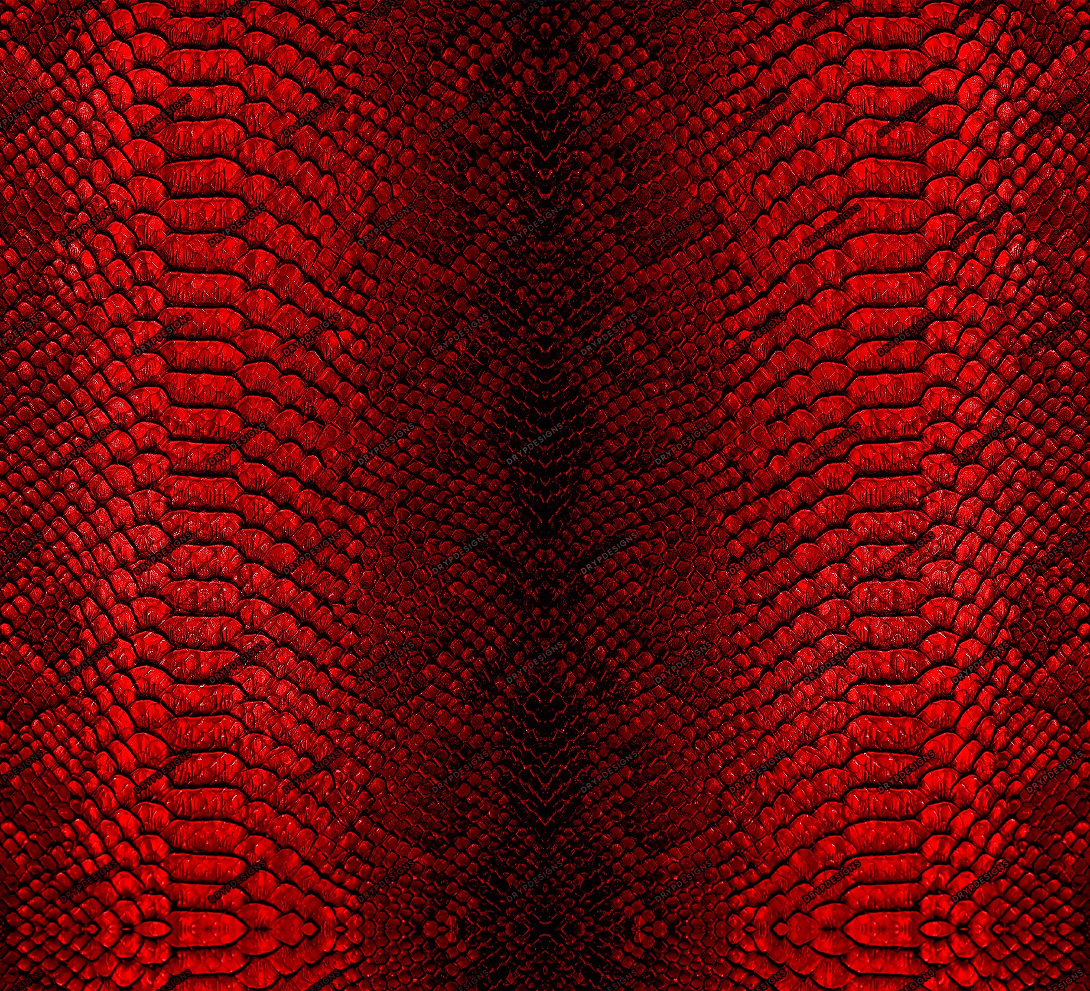 予約商品:6月上旬以降お届け予定】POLE SNAKE SKIN - NATAL